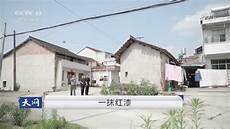天网魂断蓝桥视频